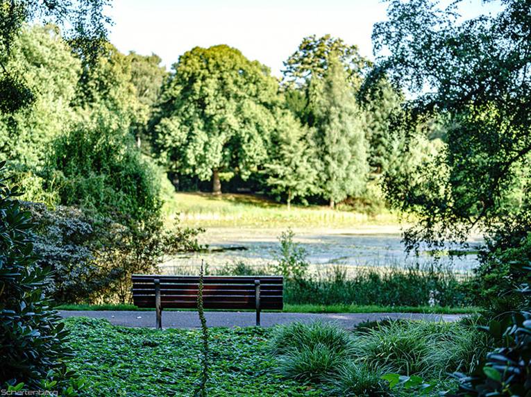 Eine Bank im Grünen.